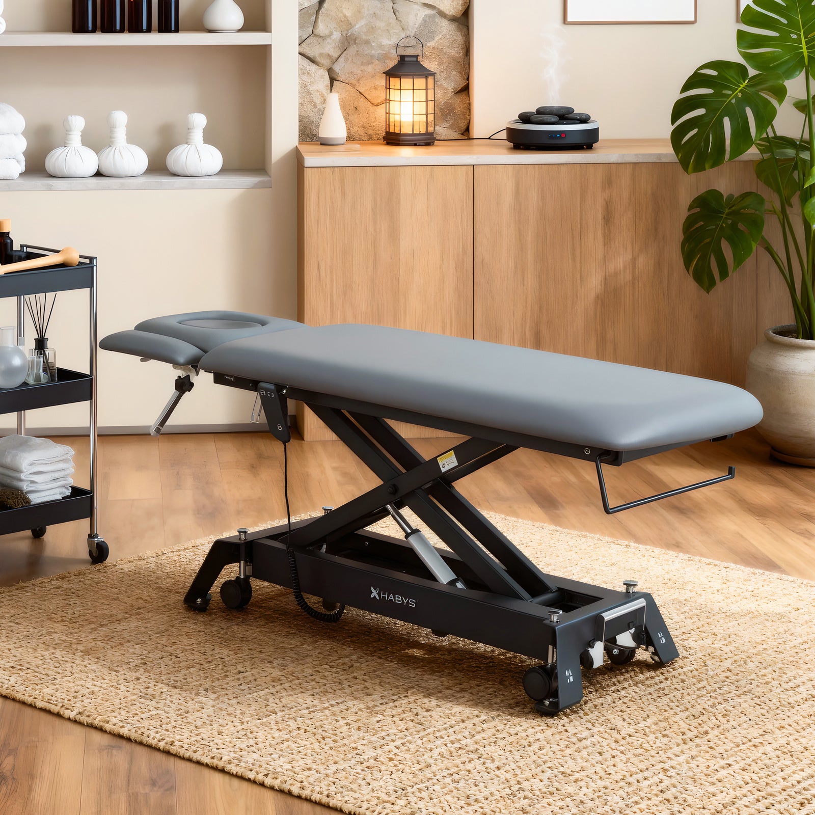 habys-therapieliege-elektrisch-evero-cross-x4-ergo-4-segmente-grau-schwarz image 2
