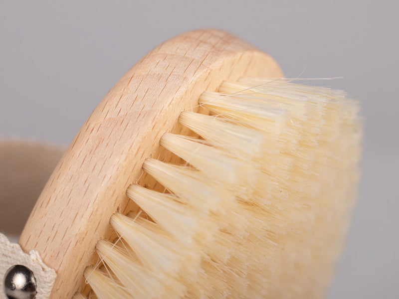 habys-trockenb-rste-dry-brushing-weich-mit-gebleichten-borsten image 4