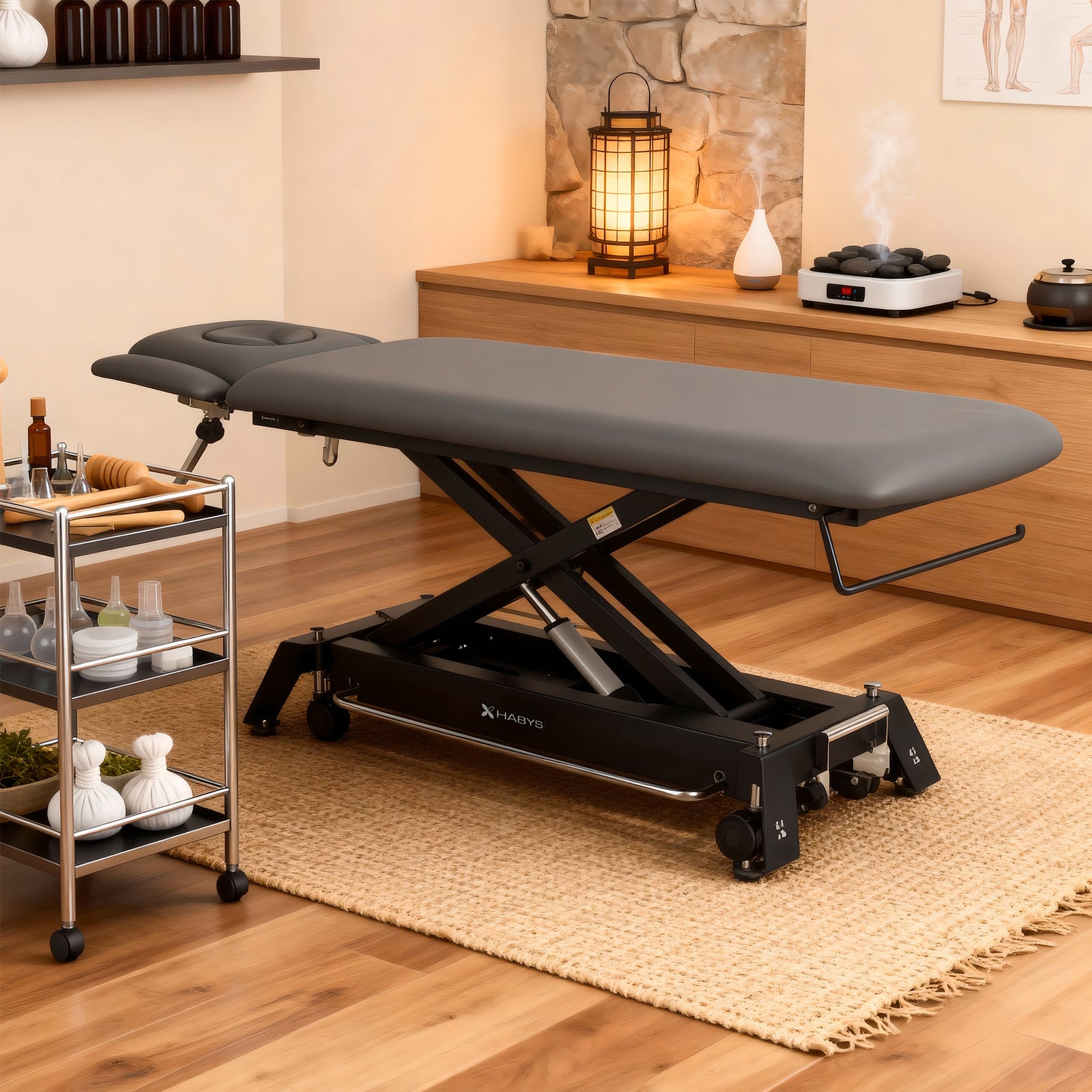habys-evero-cross-x4-ergo-elektrische-therapieliege-4-segmente-steuerrahmen-grau image 2